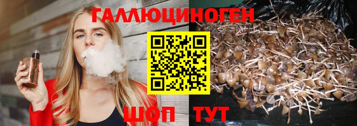 Кулебаки  даркнет сайт  Вход с VPN  Галлюциногенные грибы мухоморы 
